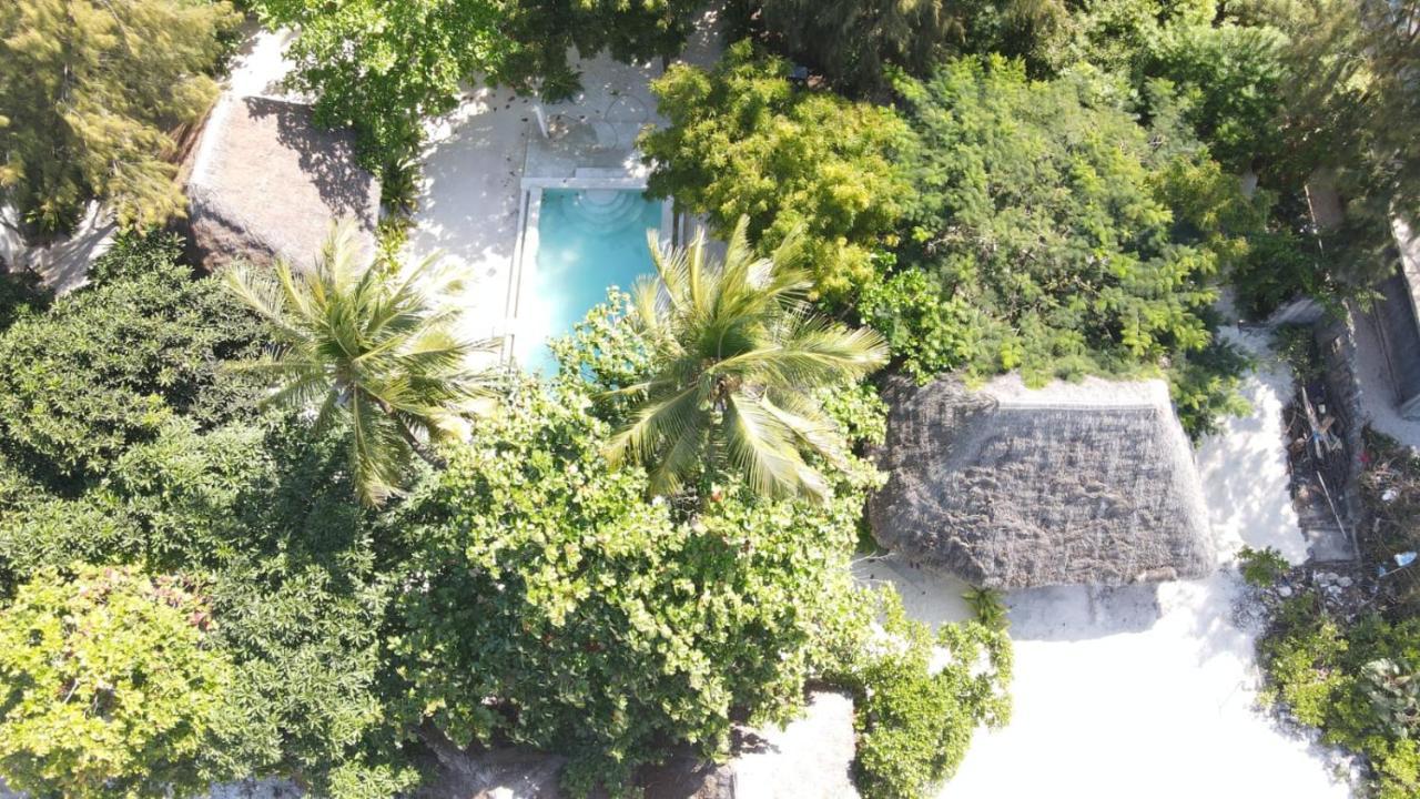 Garden Beach Bungalows Jambiani Jambiani  Exterior foto