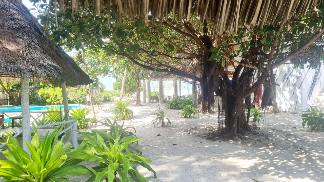Garden Beach Bungalows Jambiani Jambiani  Exterior foto