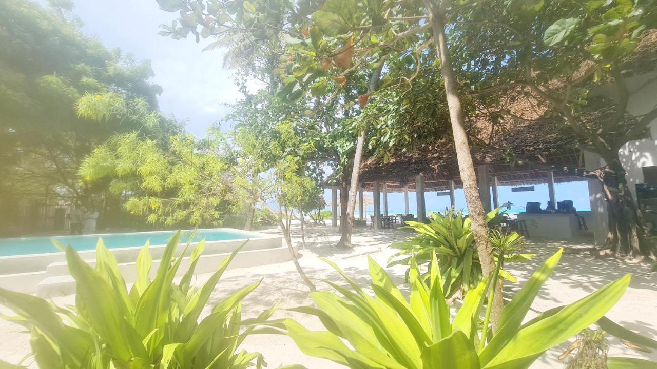 Garden Beach Bungalows Jambiani Jambiani  Exterior foto
